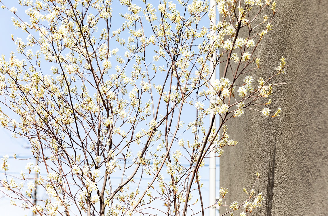 たくさん人が集まれる家