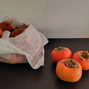 「ZEH支援事業のアンケート回答」をお客様と行いました！